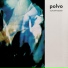 Polvo