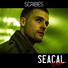 Scribes
