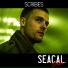 Scribes