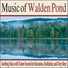Robbins Island Music Group