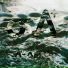 nehiyawak
