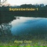 Werner Galda