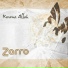 Zarro