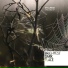 Stillhead