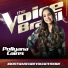 Pollyana Caires