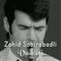 Zahid Sabirabadli