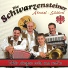 Die Schwarzensteiner