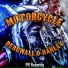 Bergwall & Harley