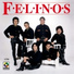 Los Felinos