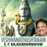 S. P. Balasubrahmanyam