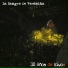 La Sangre de Verónika