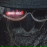 Johnny Freeze