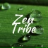 Yoga Music & Yoga Tribe