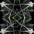 Qualia