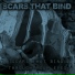Scars That Bind