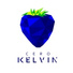 Cero Kelvin