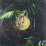 Lakeside Collective, pelvo
