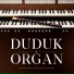 Martin Kazaryan, Anna Suslova, Dudukist