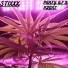 Stixxx