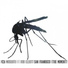 Mosquito feat. Rob Elliott