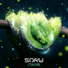 Soru