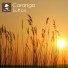 Carango
