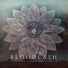 Bloodlash