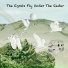The Egrets
