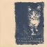 Tindersticks