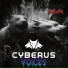 Cyberus