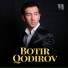 Botir Qodirov