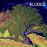 ELCOLO