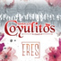 Banda Los Coyulitos