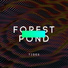 Forest Pond