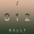 Gully