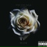 Stizzy Stack Gwolla feat. Darko