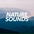 Sounds Of Nature