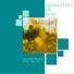 Yogsutra Relaxation Co