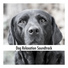 Doggy Calm
