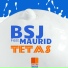 BSJ & Maurid