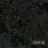 Ghost Warrior
