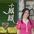 小鳳鳳