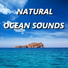 Ocean Sounds