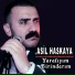 Asil Haskaya