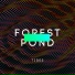 Forest Pond