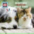 Was Ist Was