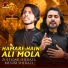 Zulfiqar Ali Sherazi, Mesum Sherazi