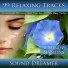 100 Relaxing Songs for Sleep