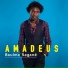 AMADEUS