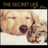 Pet Music World